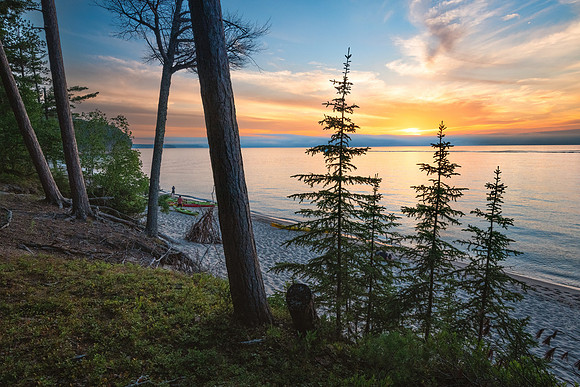 Miners Beach through the pines