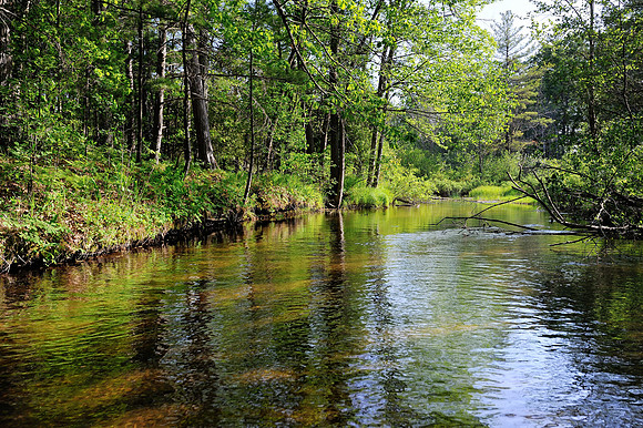 Shalda Creek, Sleeping Bear Dunes
