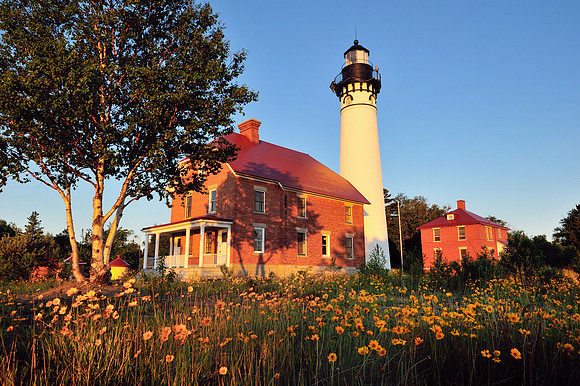 "Wildflowers"  Au Sable Lighthouse Pictured Rocks National Lakdshore