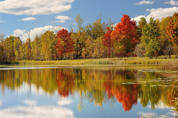 Brockway Lake, Autumn in Mecosota County, Michigan