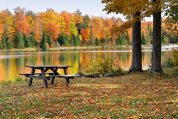 " Floating Leaves" Lake Plumbago , Michigan's Upper Peninsula