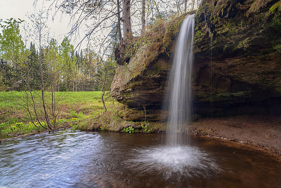 "Marsh Marigolds" Scott Falls, AuTrain, Michigan