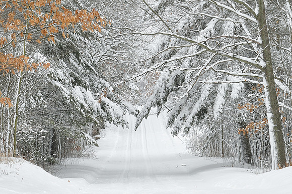 "The first Snowfall". Montcalm County, MI.