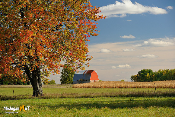 Autumn at a Michigan Countryside