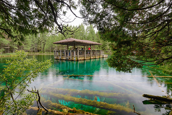 Kitch-iti-Kipi "Big Springs"
