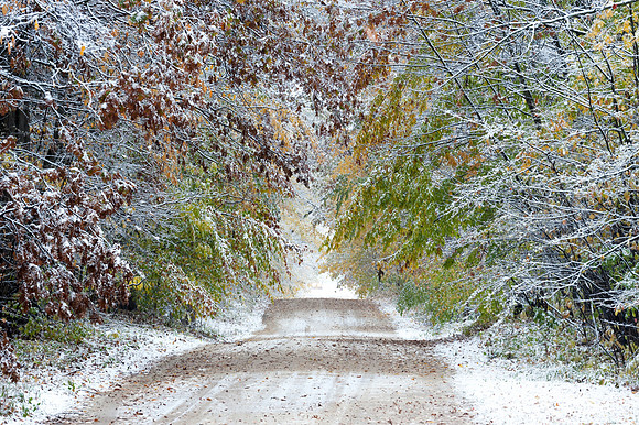 "Seasons Collide"