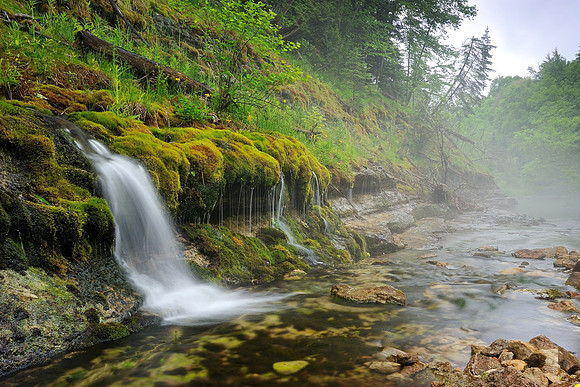 Autrain River Springs , Alger County, Mi