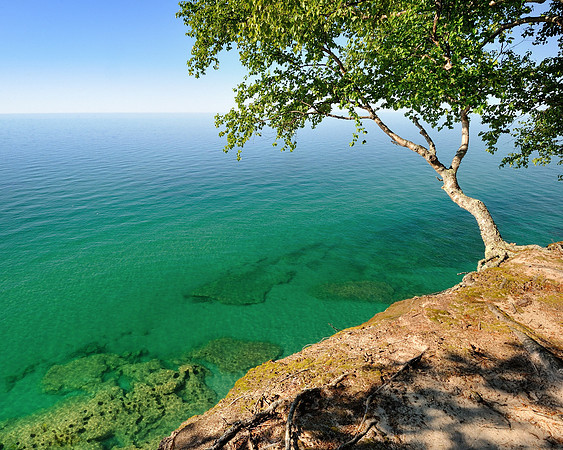 "Holding On"  Pictured Rocks Cliffs