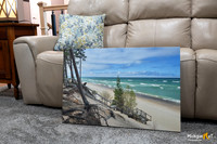 Canvas Wrap-Spring Twelvemile Beach