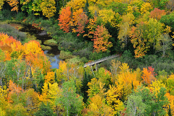 Footbridge - Autumn at Lake of the Clouds , Porcupine Mountains State Park