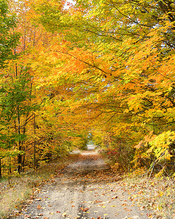 Autumn two-track in Interlochen Michigan