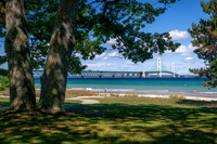 Majestic Oaks frame the Mackinac Bridge.