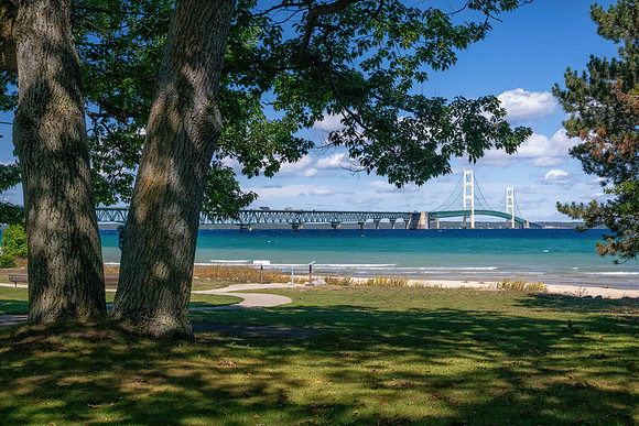Majestic Oaks frame the Mackinac Bridge.