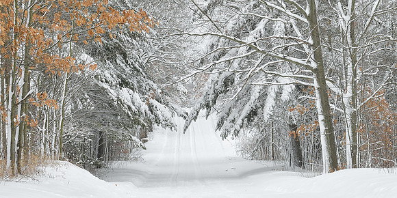 "Country Roads" Winter in rural Montcalm County Michigan