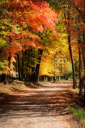 "Country Roads"  Autumn in Central Lower Michigan.