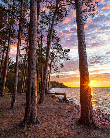 Tall Pines Sunrise-Little Presque -standard