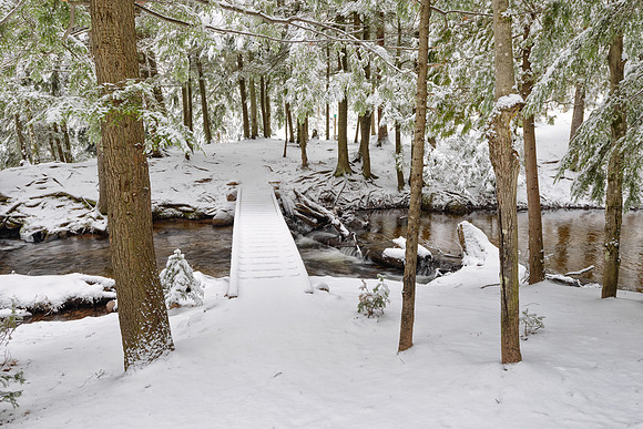 Snowy walk in the woods at Morgan Creek in Marquette, Michigan