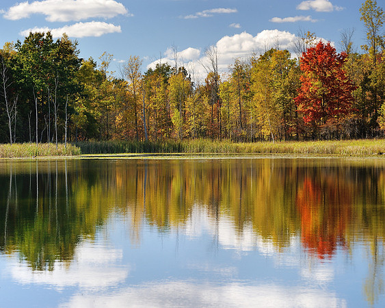 Autumn reflections