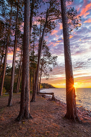 "Tall Pines Sunrise". Little Presque Isle, Marquette, MI