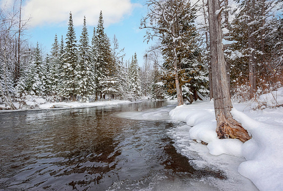 "snowy trees on Michigan's Jordan River"