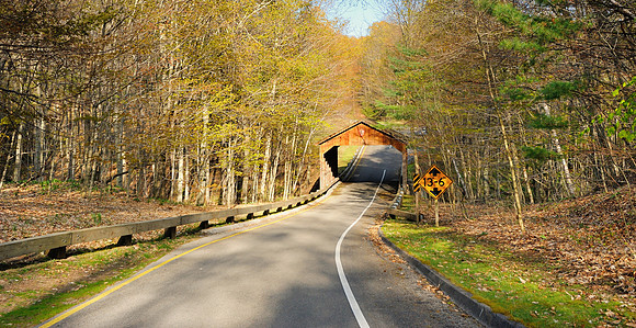 Covered Bridge Pierce Stocking Scenic Drive