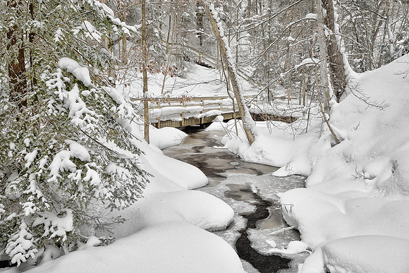 "snow covered trees along Munising Creek in Pictured Rocks National Park"