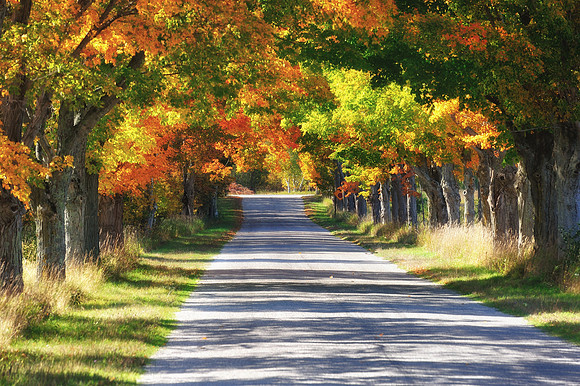 "Country Roads"  Sleeping Bear Dunes
