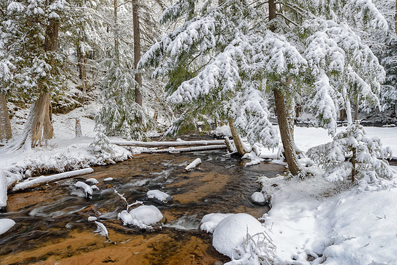 Snow covered trees at Morgan Creek, Marquette, Michigan