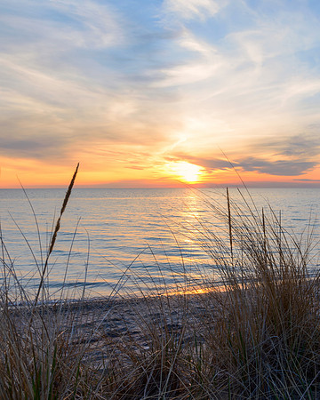 Sunset in the grasses