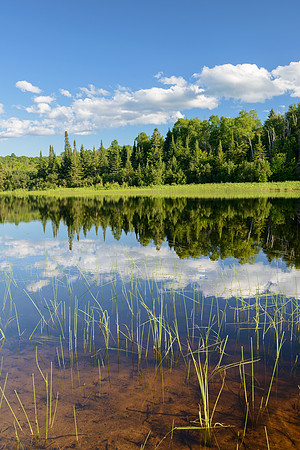 Little Beaver Lake reflections
