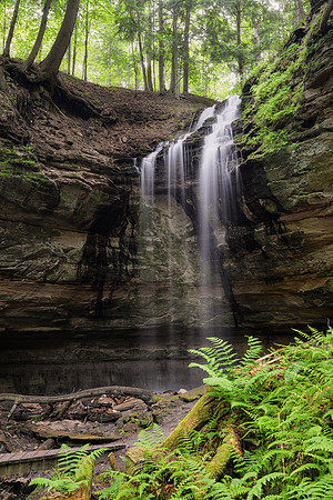 Gently flowing Tannery Falls