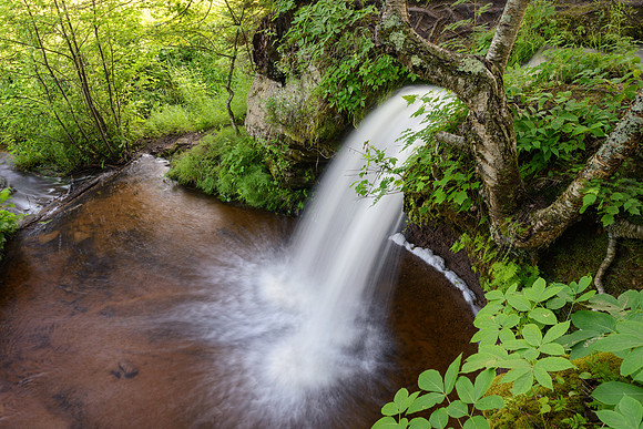 Summer at Scott Falls