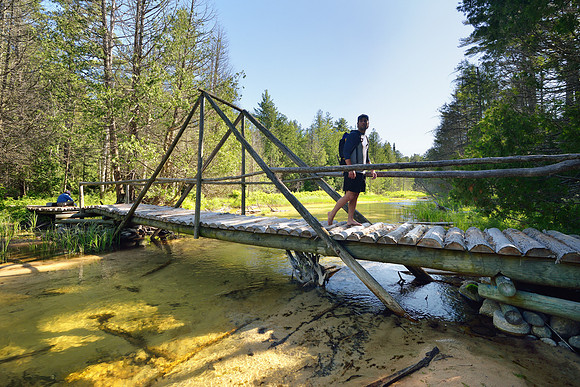 Footbridge over Beaver Creek - Beaver Basin Wilderness