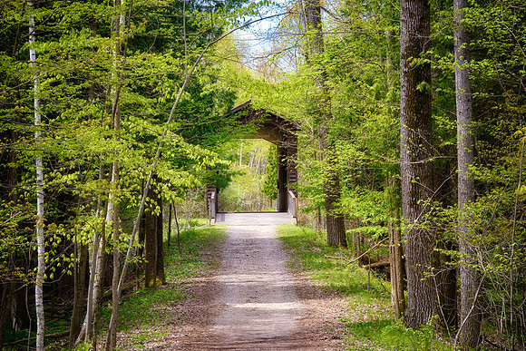 "Spring Paths"  Fishers Covered Bridge