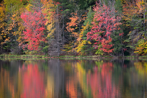 Moccasin Lake, Hiawatha National Forest