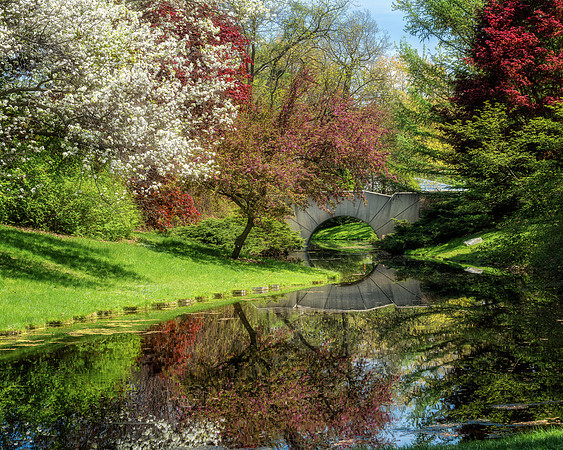 Dow Gardens-Footbridge-spring blossoms