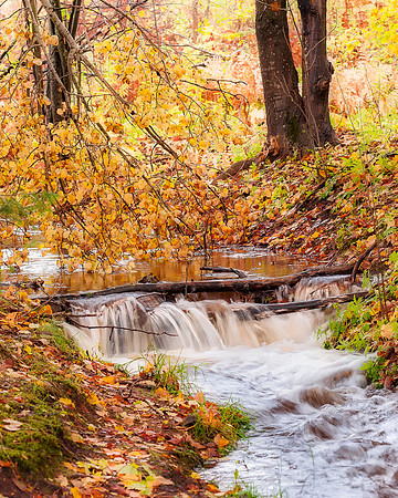 A little waterfall on Scott Creek near AuTrain, MI