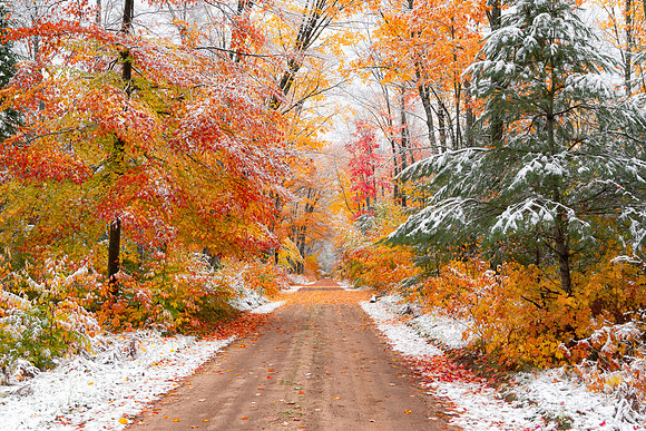 Snowy trees, Autumn in Hiawatha National Forest
