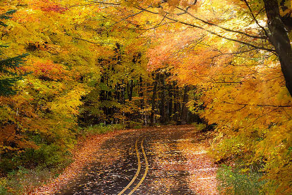 Tunnel of Trees-Pictured Rocks National Lakeshore