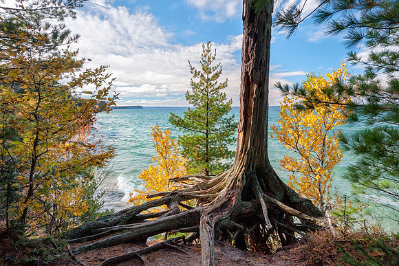 "The Old Pine Snag"  Pictured Rocks National Lakeshore