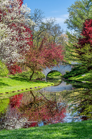 Dow Gardens Bridge-spring reflections