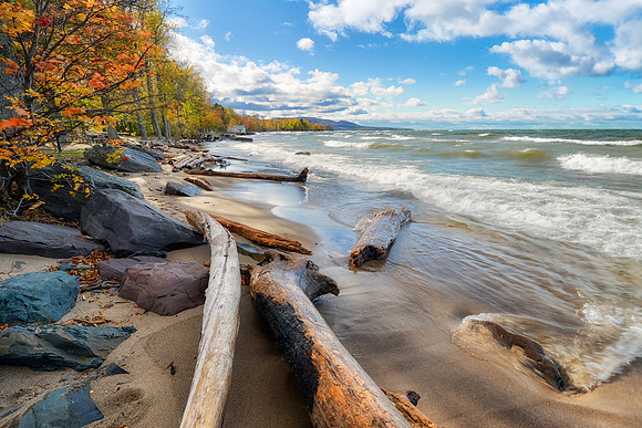 Lake Superior Driftwood-Autumn in Porcupine Mountains State Park
