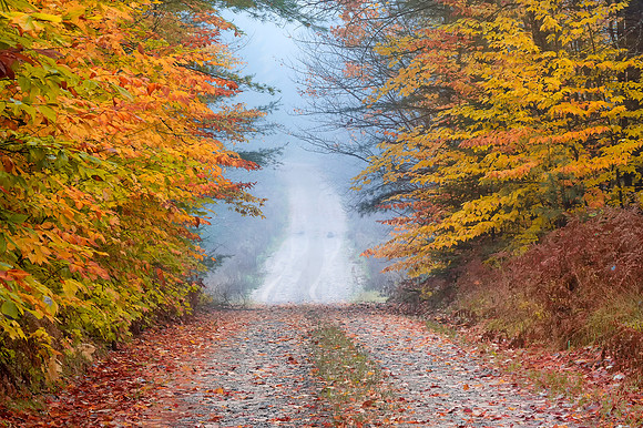 Atumn Country Road-Hiawatha National Forest