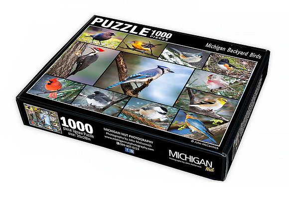 Bird Puzzle 3-D-Box-2000