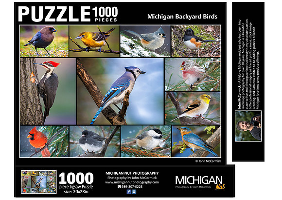 M23-Michigan-Backyard-Birds-1000-FLAT1