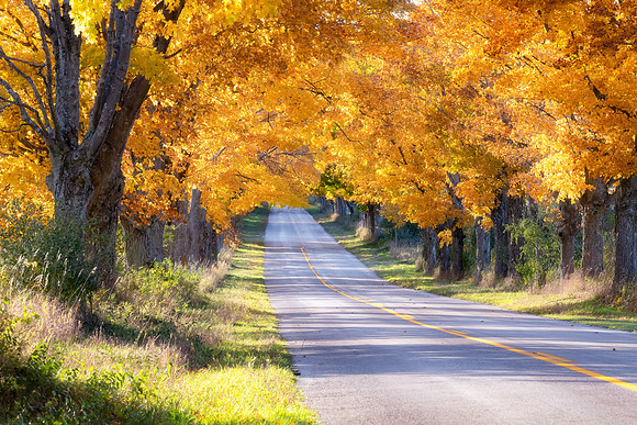 Autumn, Day Farm Road Sleeping Bear Dunes