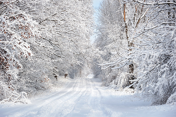 Snowy sountry road in Central Michigan