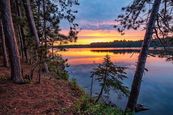 Leaning Pine Sunet-Dead River Basin