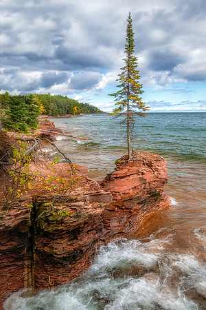 "All on its Own". A cool tree perched on the rocky shoreline of Lake Superior