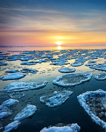 Point Aux Barques-Icy Winter Sunrise Vertical